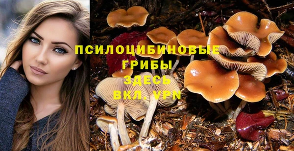 хмурый Алексеевка