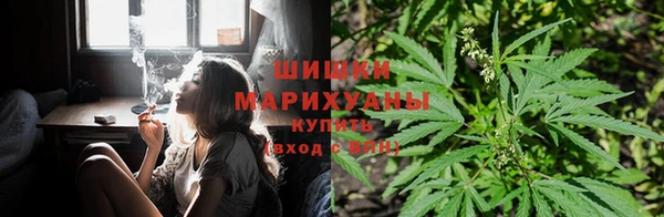 гашик Абаза